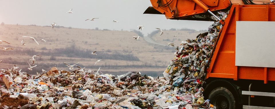 Spécialiste de la gestion des déchets ?
Trouvez tous vos matériels et véhicules d'occasion adaptés au traitement des déchets